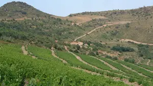 Domaine Boucabeille