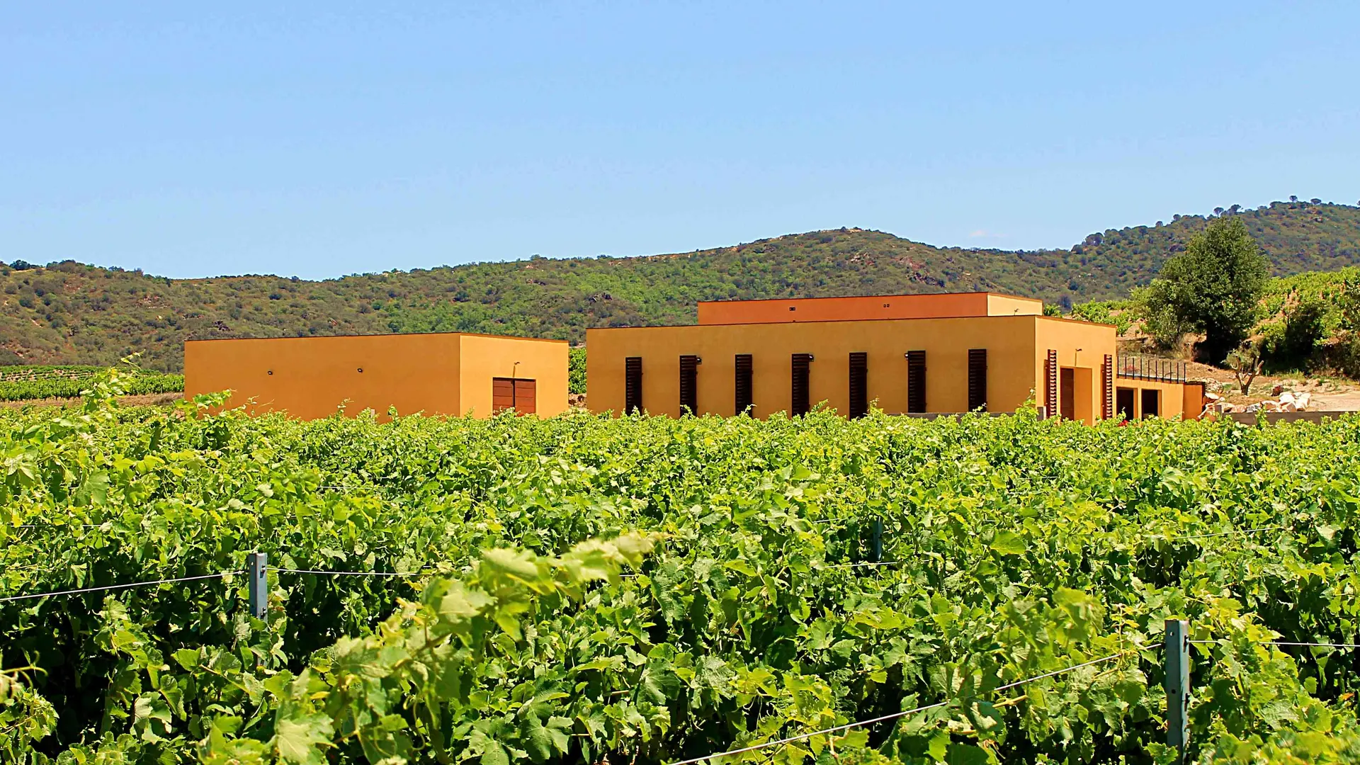 Domaine Deveza 1