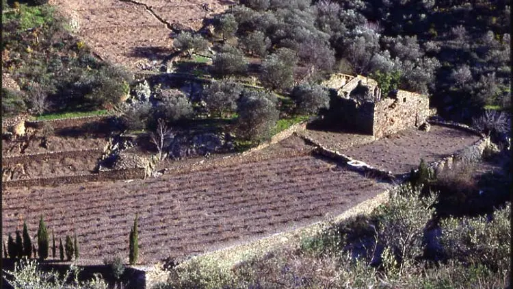 Domaine La Tour Vieille 5