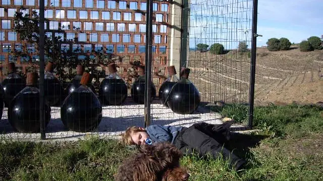 Domaine La Tour Vieille 3