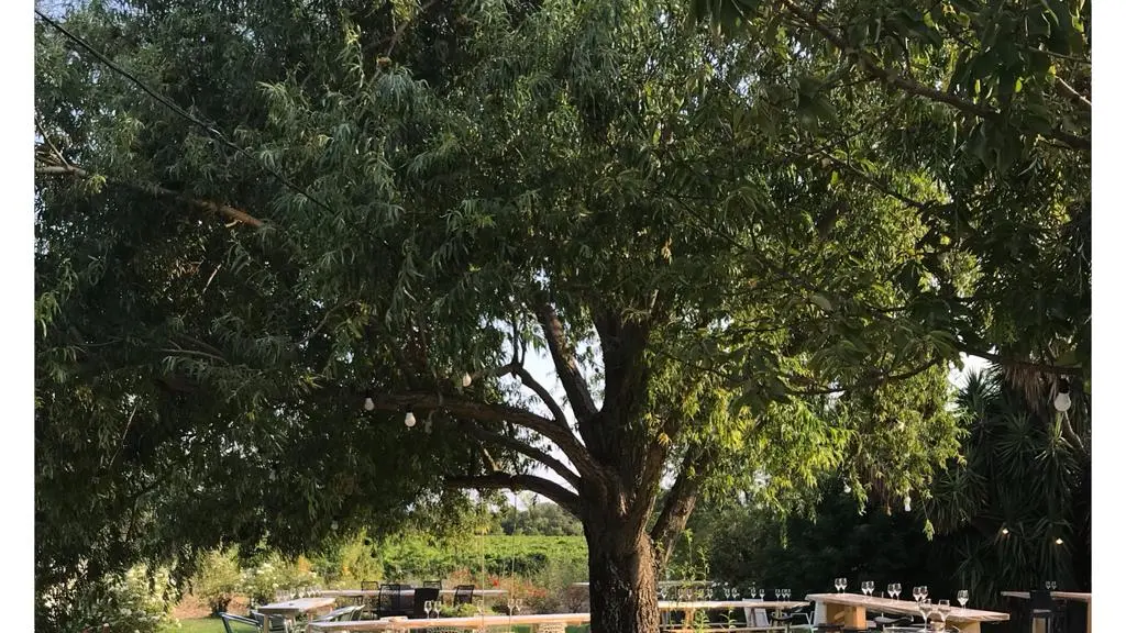 Domaine Riere Cadene 2