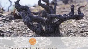 Domaine Saint Sebastien
