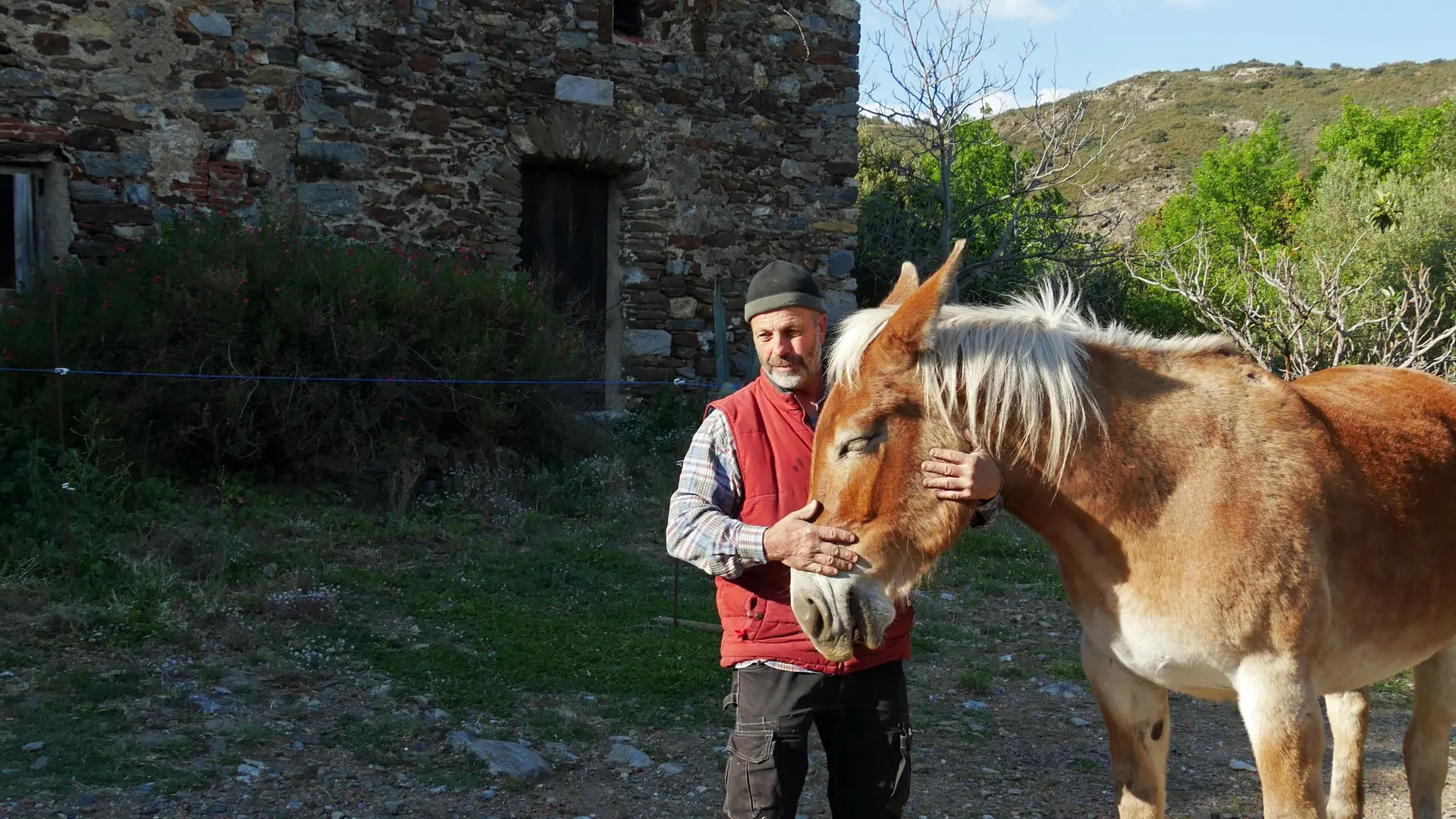 Domaine du Traginer (9)