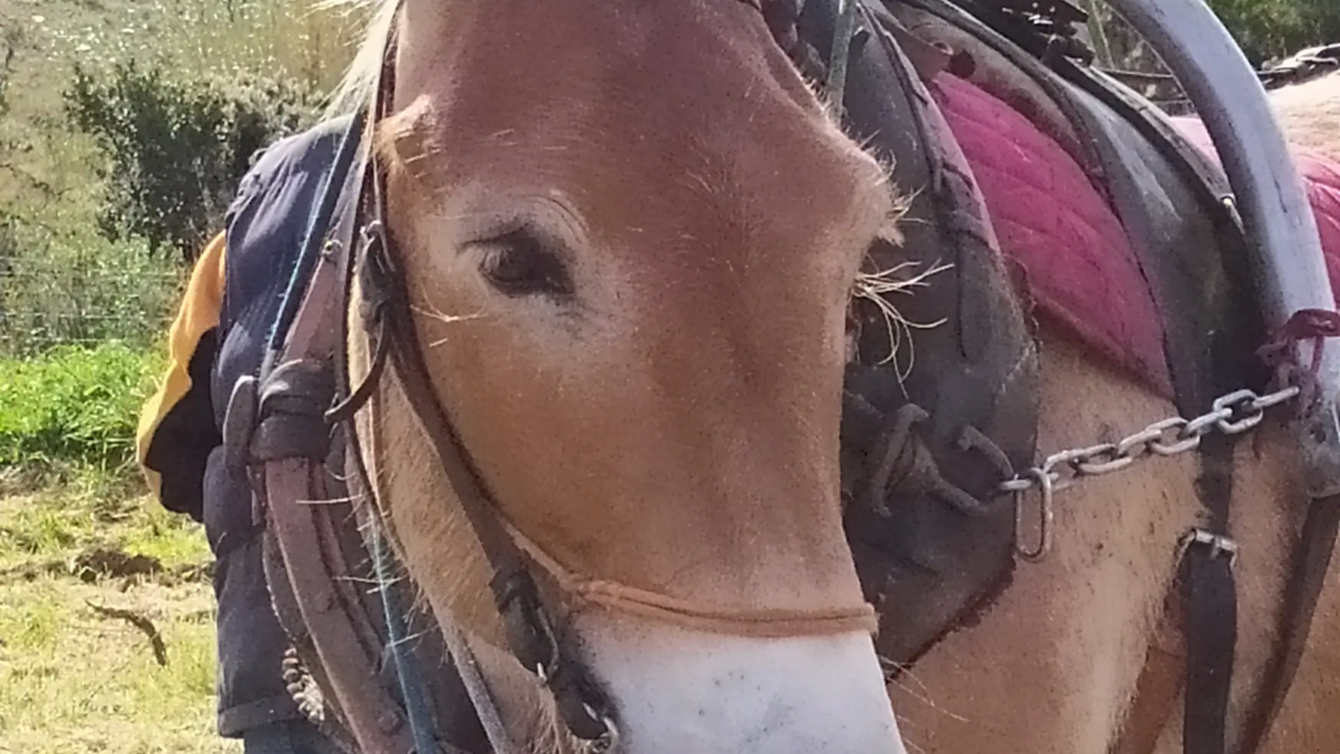 Domaine du Traginer (12)