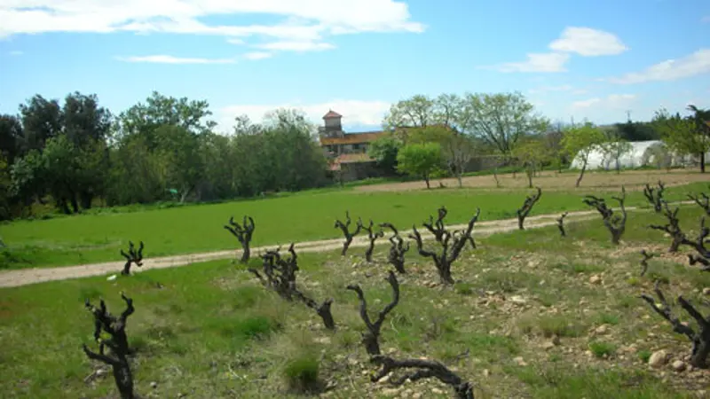 Domaine de Nidolères 1