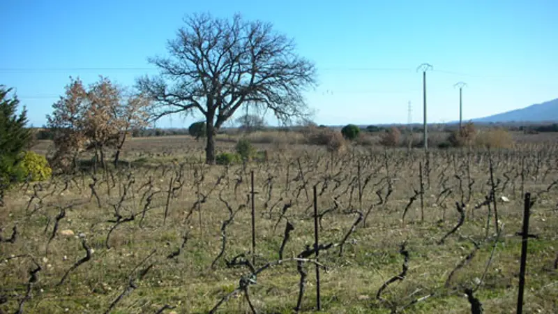 Domaine de Nidolères 3