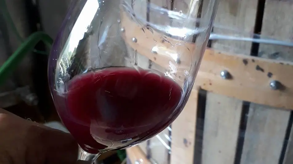 Domaine des Hélianthemes 1