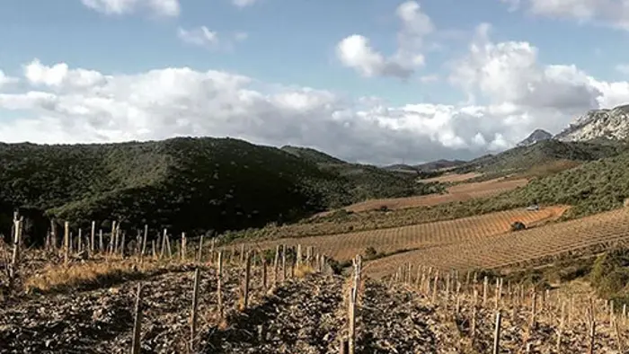 Domaine des Schistes 2