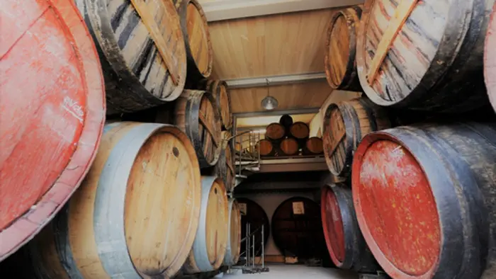 Domaine des Schistes 3