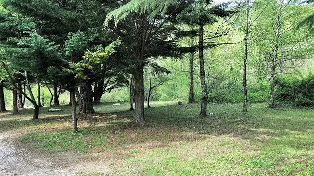 Emplacement Camping del bosc 2 bis