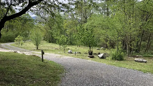 Emplacement Rivière Camping DEL BOSC 2