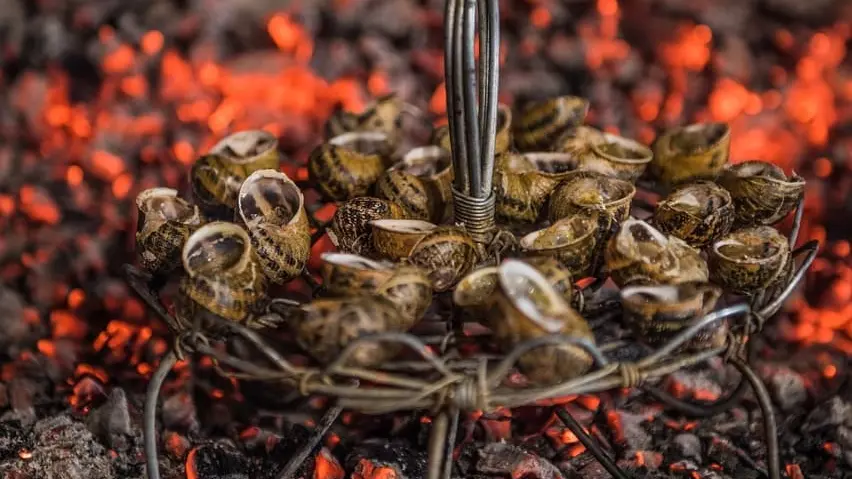 TORREILLES RESTAURANT LE JARDIN