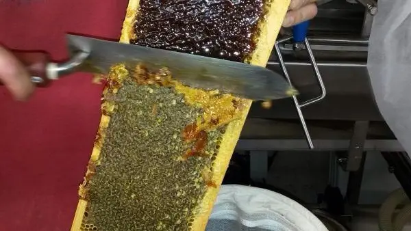 Extraction au couteau