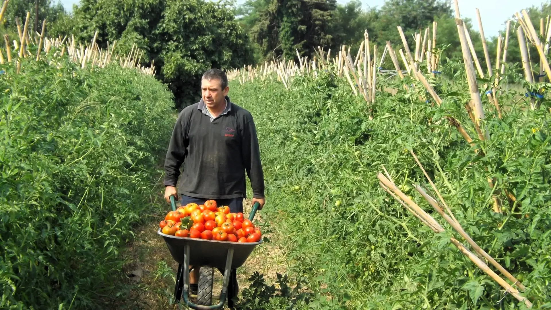 FABIENNE ET EDDY PALAU