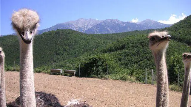 FB_IMG_1463340764389