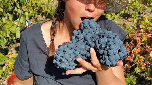 FB_IMG_1476779792177