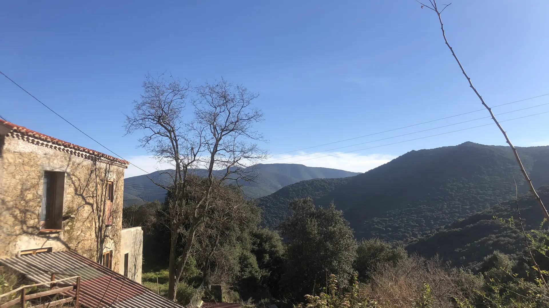 FEILLUNS M.PELLETIER