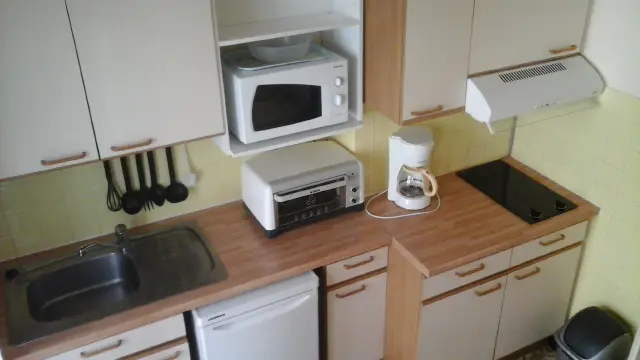 FRITSCH VAYSSIERE N14-1