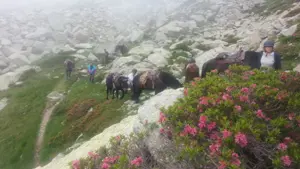 Ferme d'en Garcie rando 2