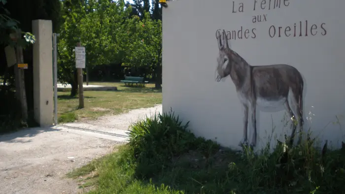 TORREILLES LOI FERME AUX GRANDES OREILLES