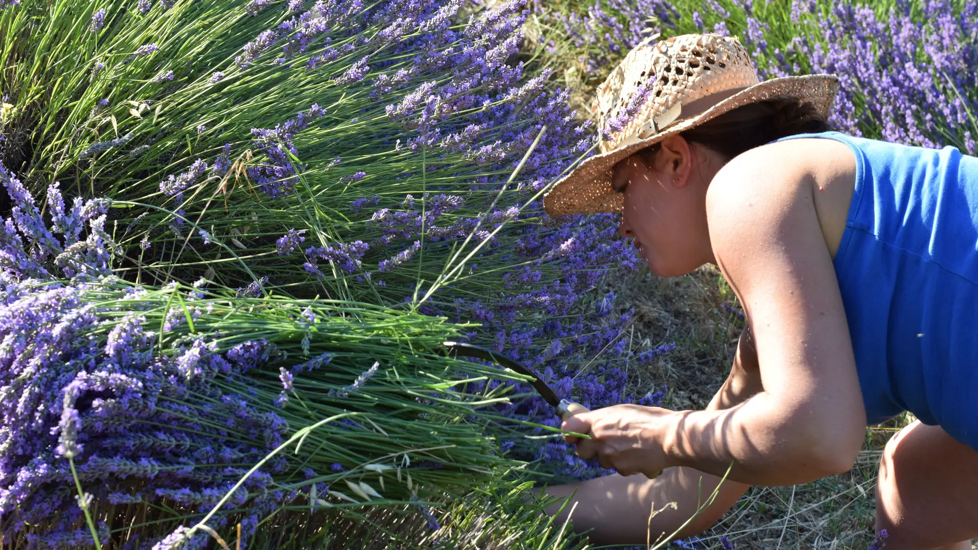 Floraluna Distillerie des Altitudes (28)