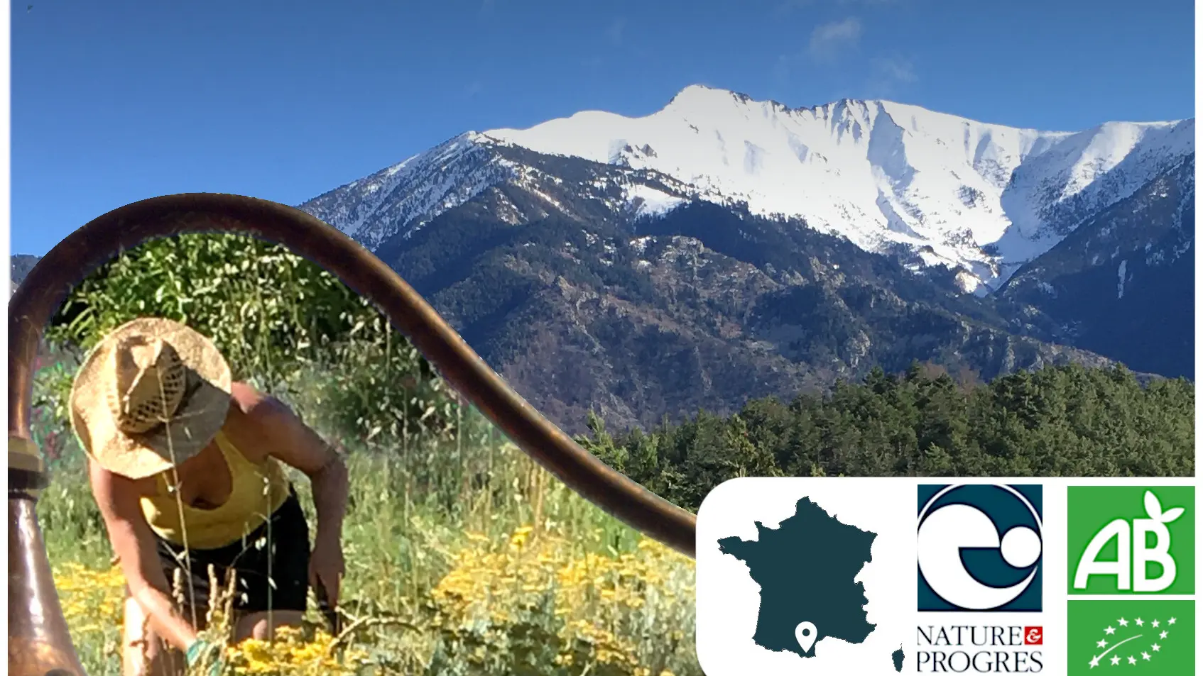 Floraluna Distillerie des Altitudes (34)