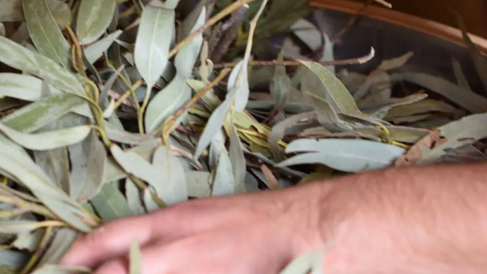 Floraluna Distillerie des Altitudes