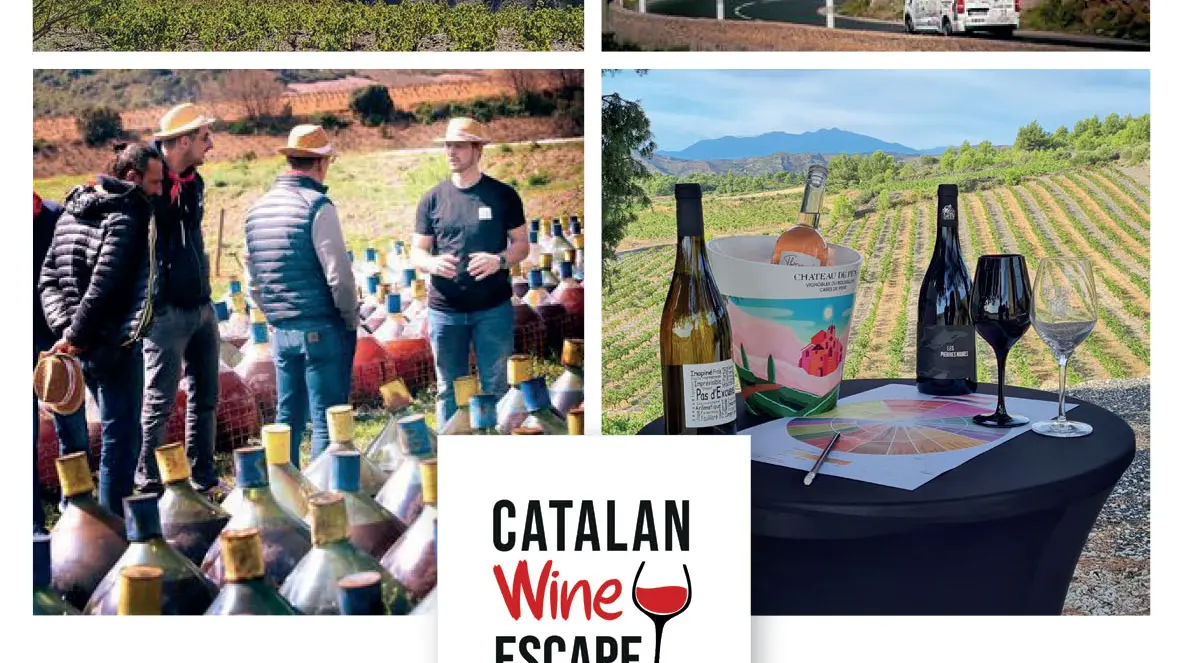Catalan Wine