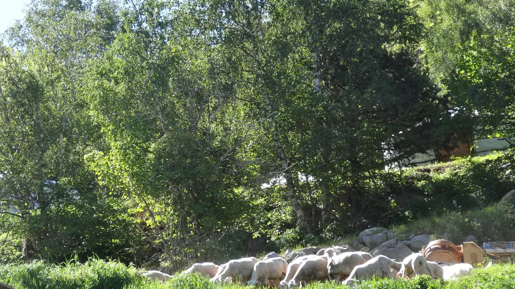 Fromagerie Cal Rous 6