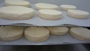 Fromagerie du Mas Guiter