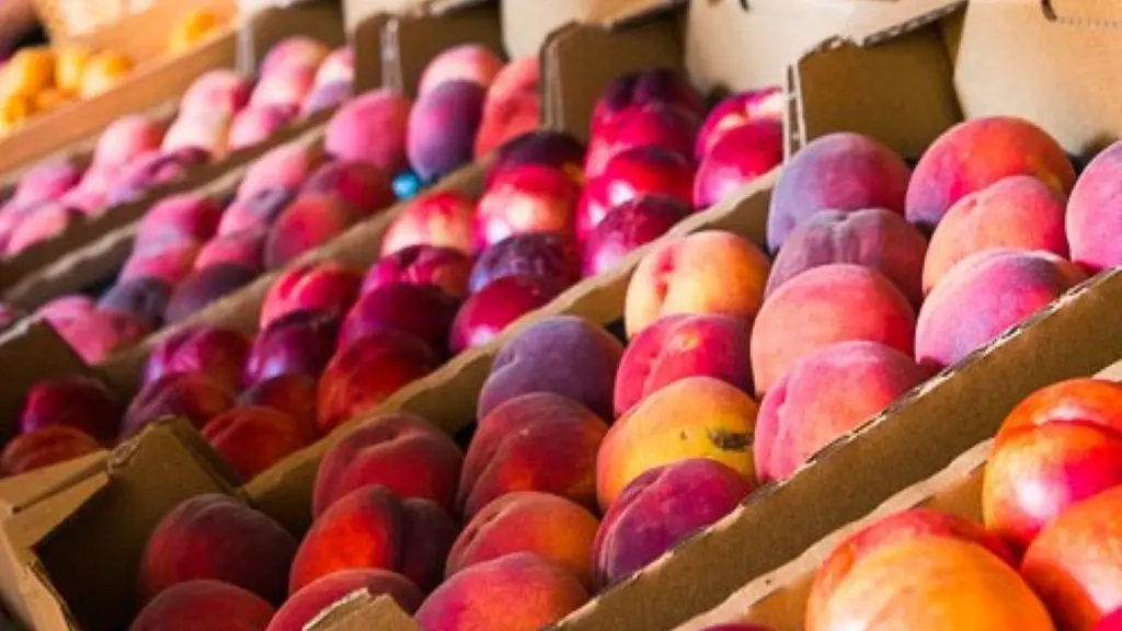 FuitsLégumes©Lionel Moogin_T