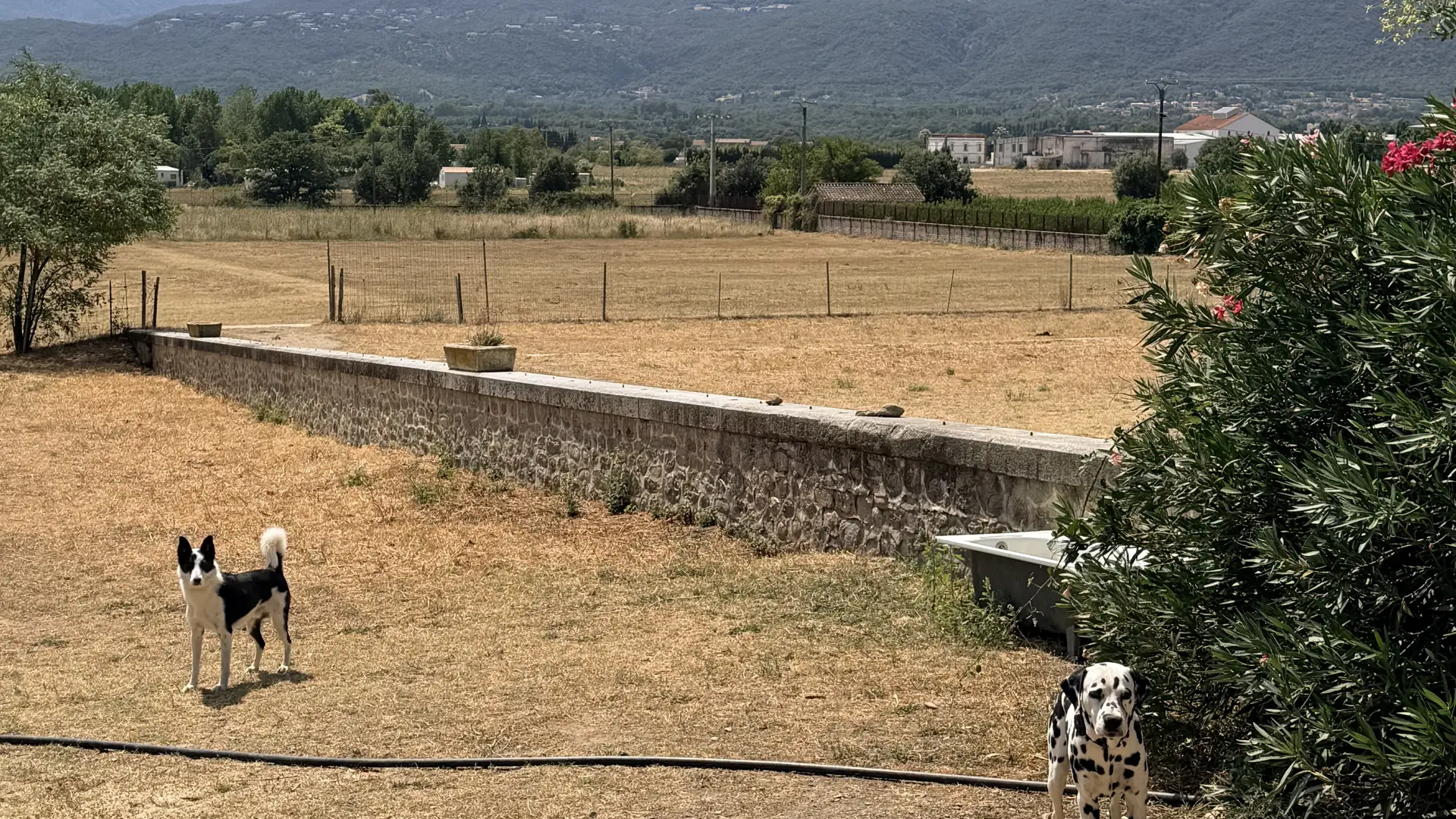 Garderie canine Sonia Françoise