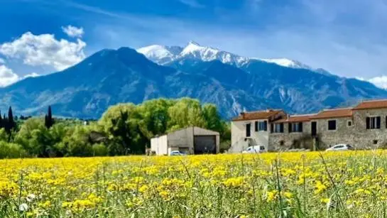 Gîte avec le Canigó en fond