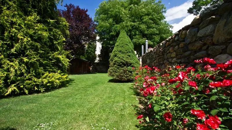 Hôtel Planes - parc planotel 3