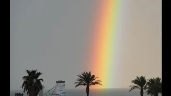 vue de l'appartement