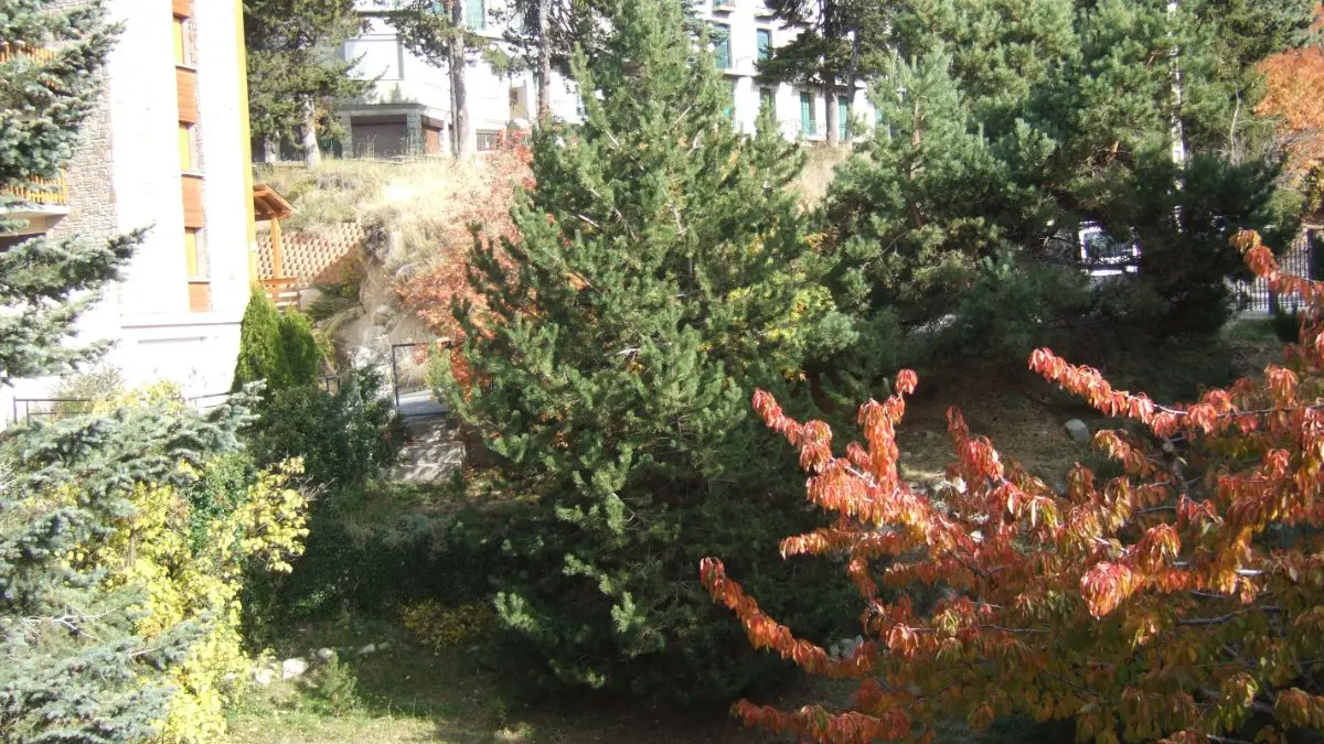 Vue sur jardin0000391_5