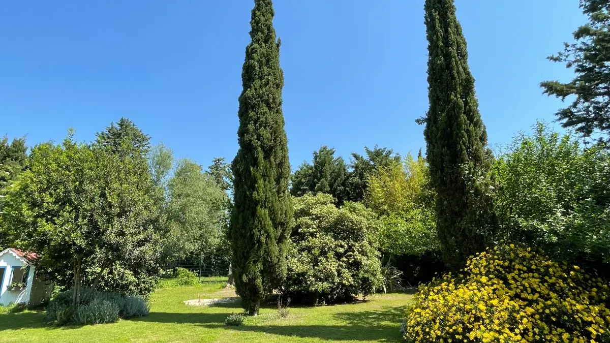 HLOLAR0660002353_12