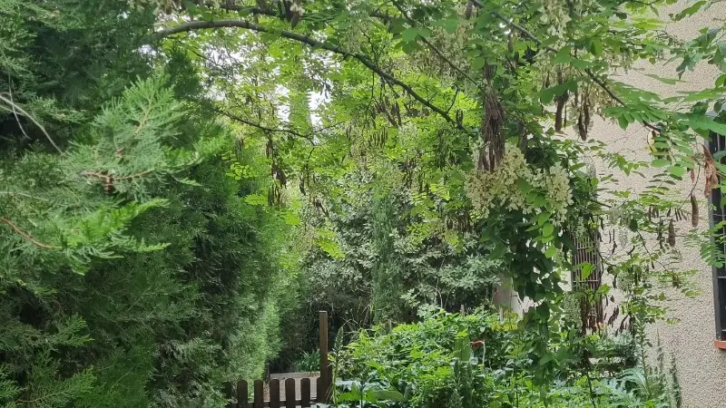 L'allée privée d'accès à la villa