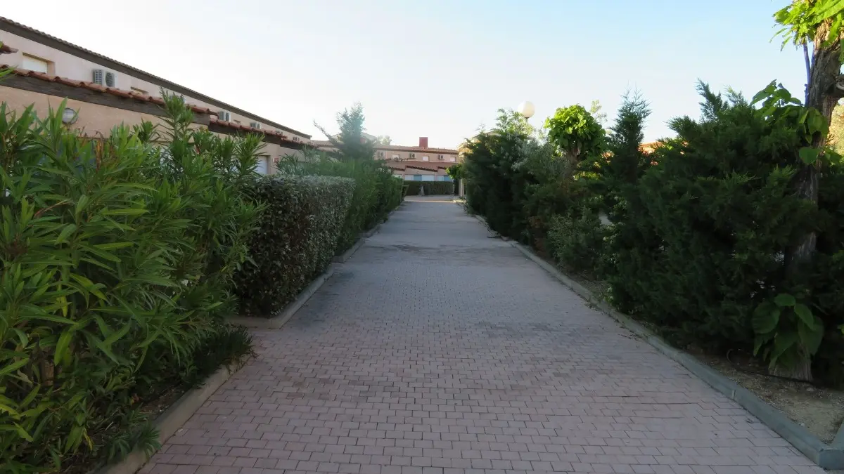 Allée arborée de la Résidence