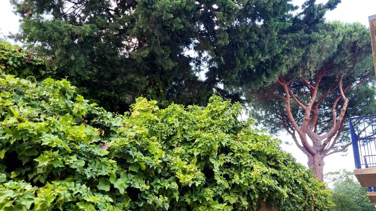 Hotel-Ambeille-Collioure (6)