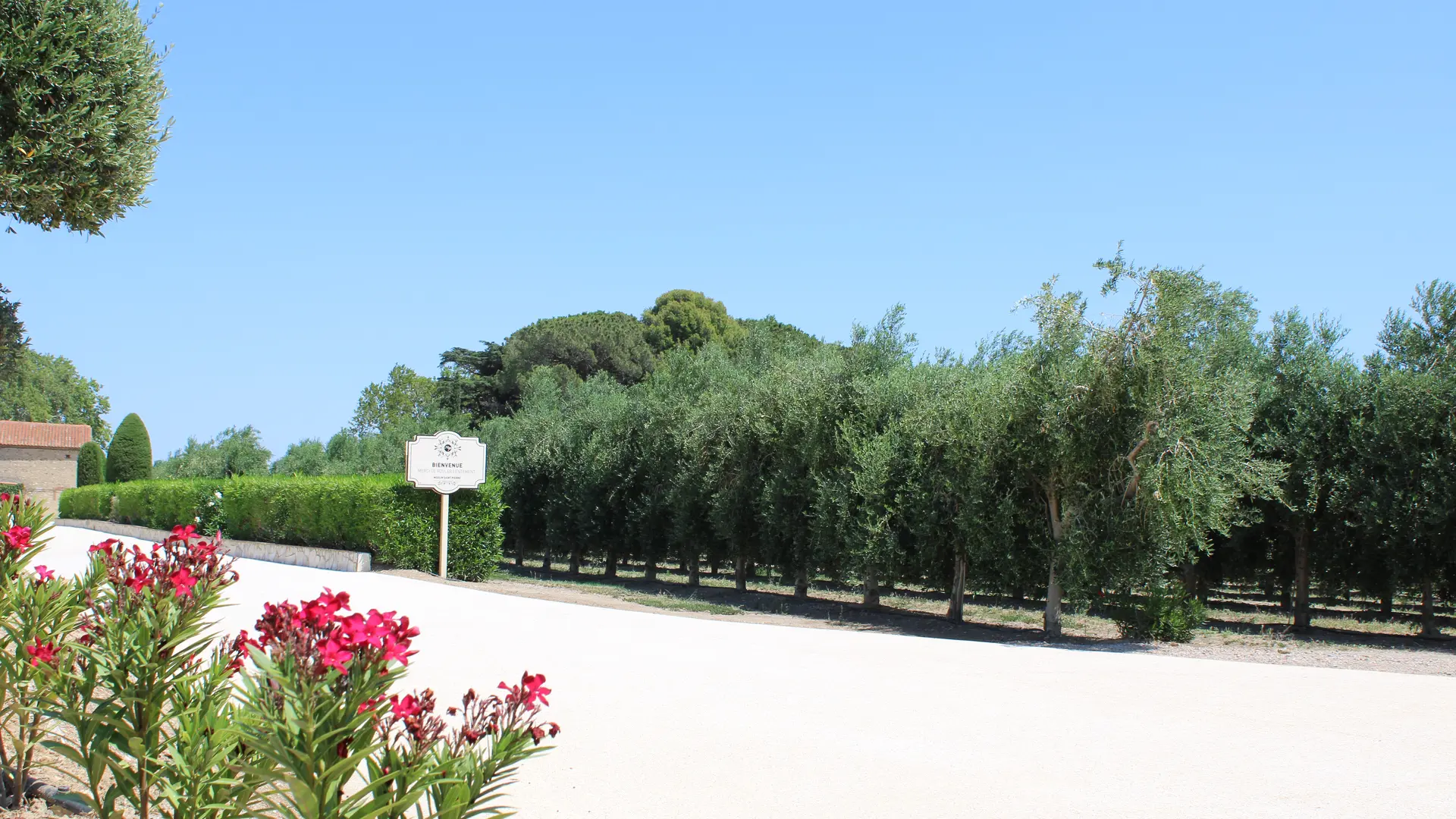 Le Moulin Saint-Pierre