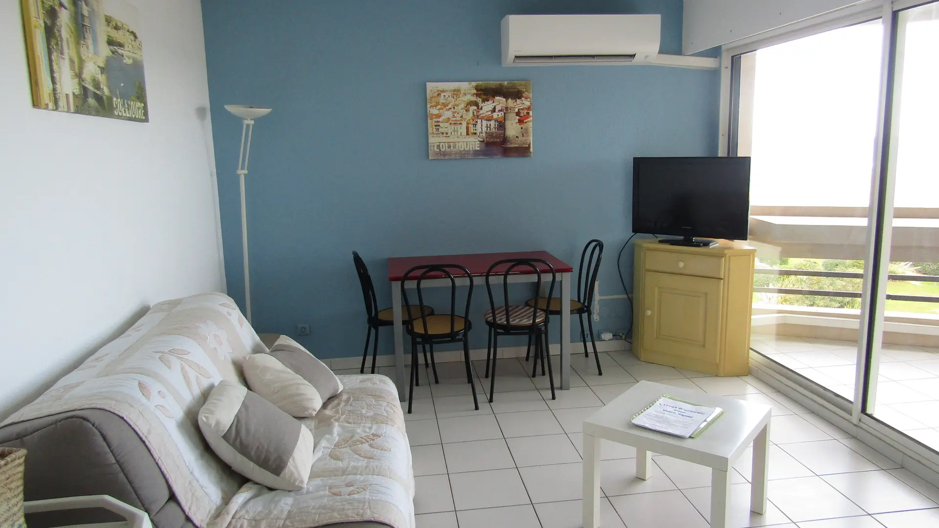 vue salon canapé convertible