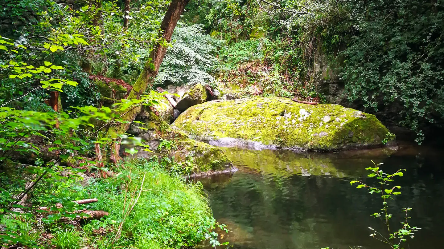 Rivière Le Mondony à Amélie-les-Bains Palalda