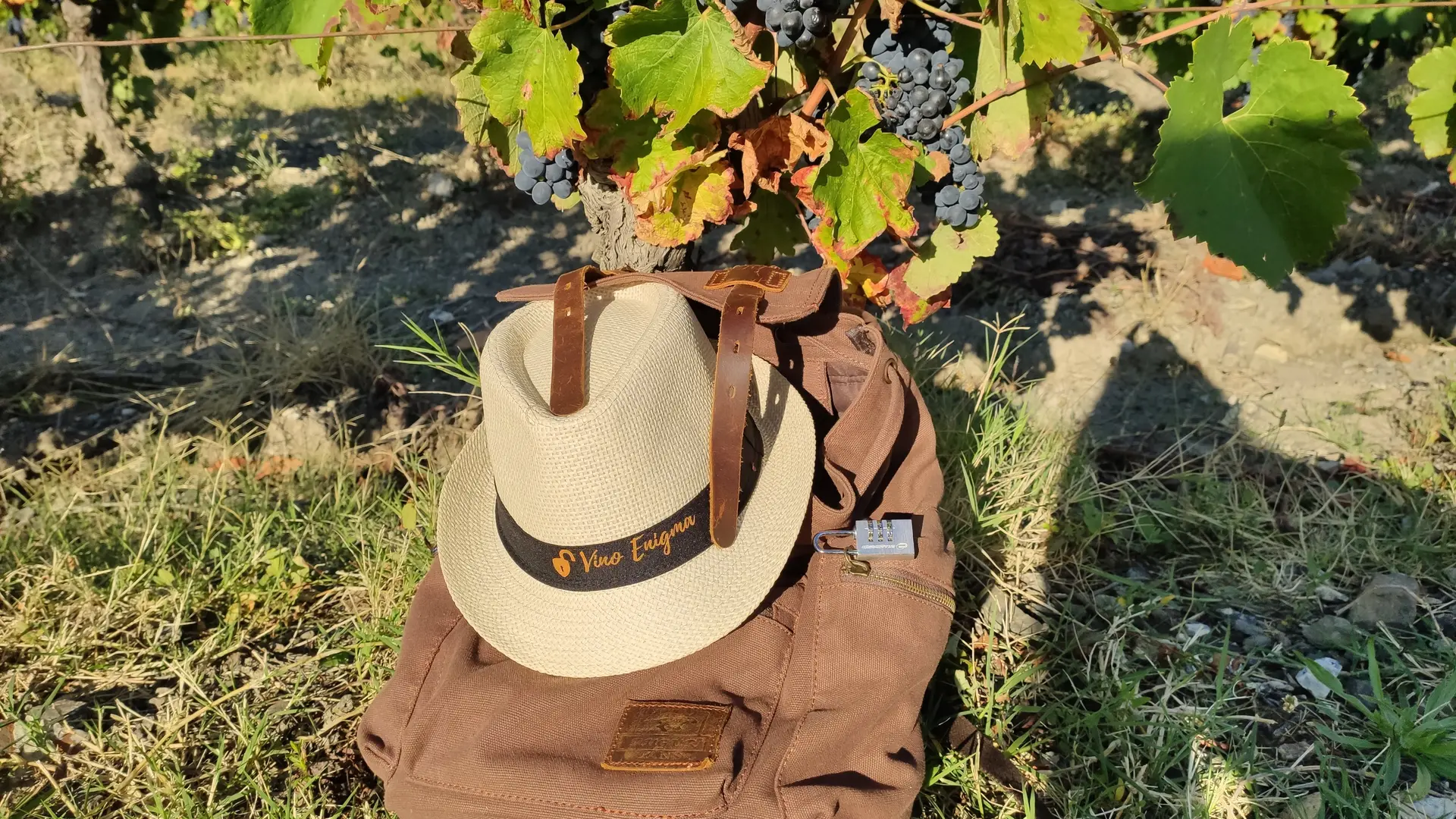 IMG_20200913_092241 (1)