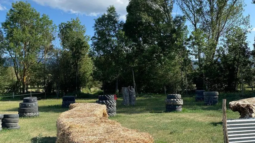 IMG_20230727_141653_502