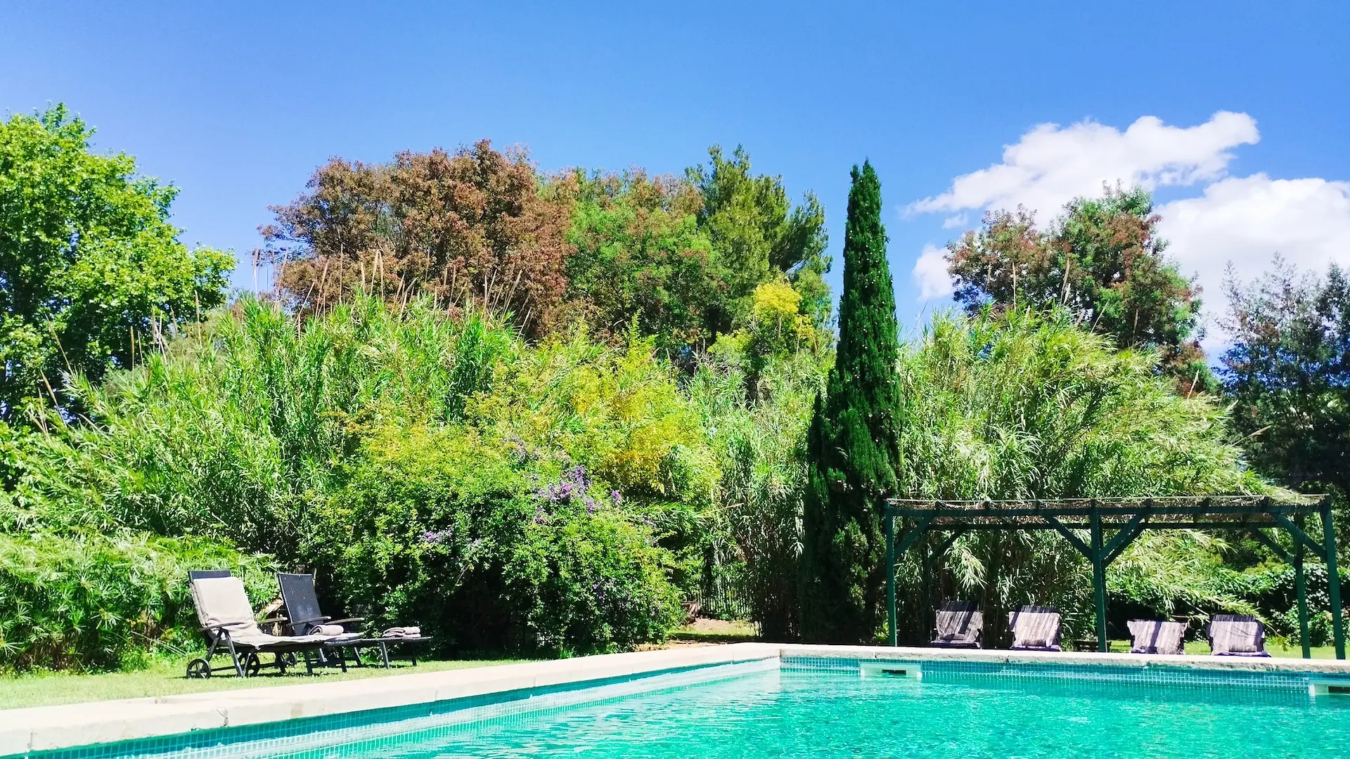 IMG_20240603_130612 (1)