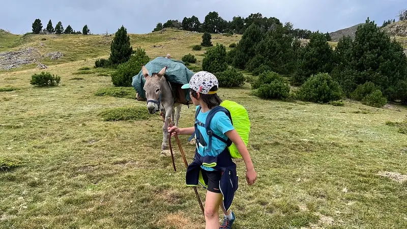 Les ânes du Tres Estelles