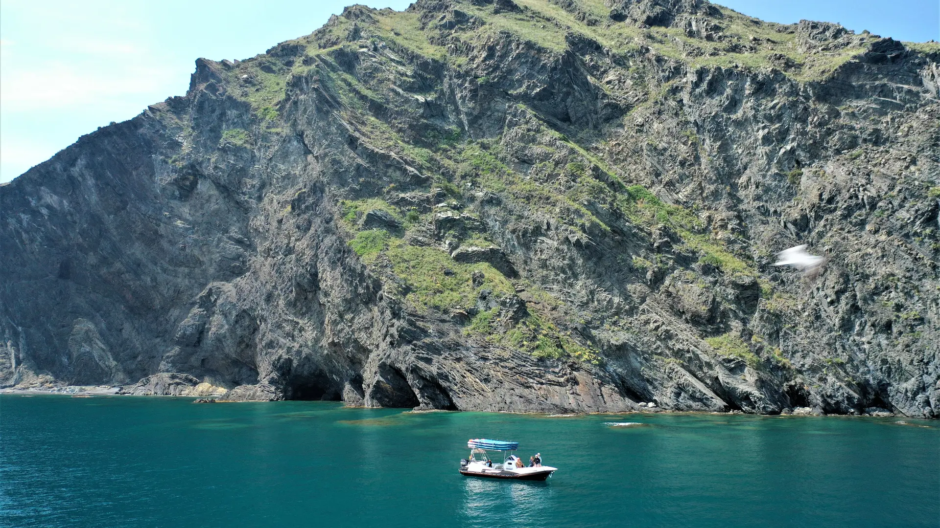 IMG-20250518-WA0082M