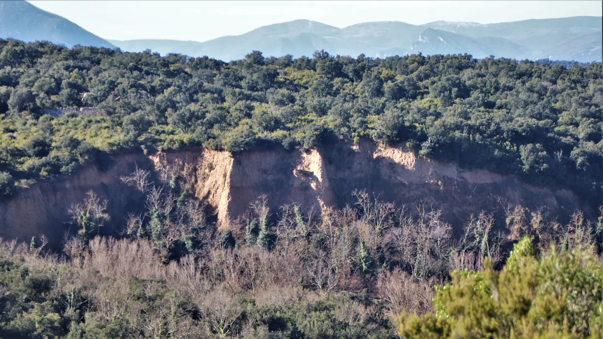 Pla del Rey - Bataille du Boulou