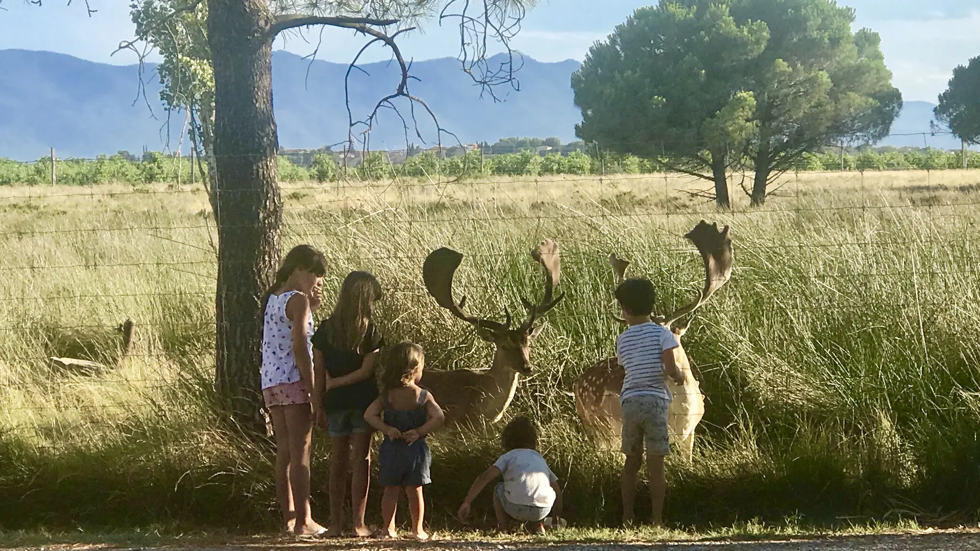 IMG_5597_LES_FONTAINES